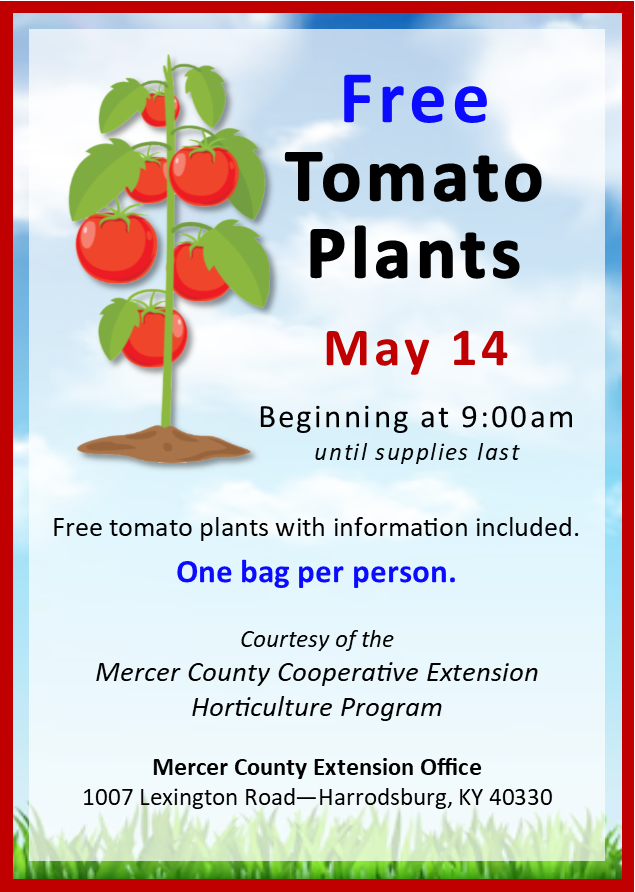 Free Tomato Plants