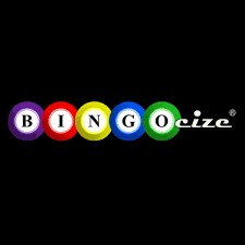 bingocize logo