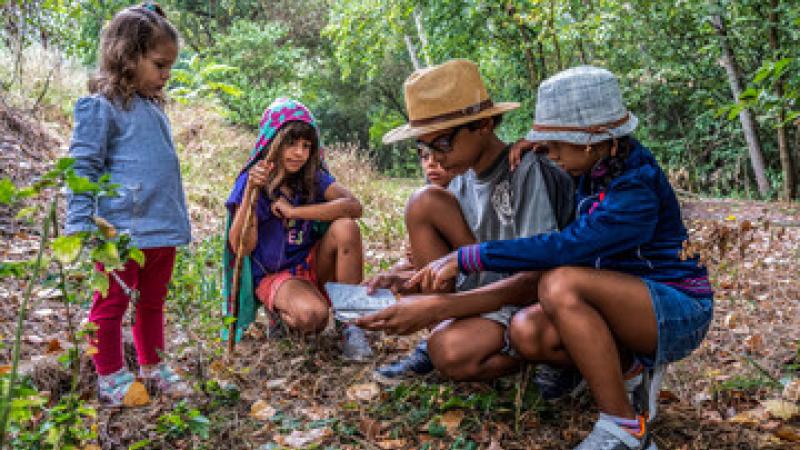 picture of children in woods