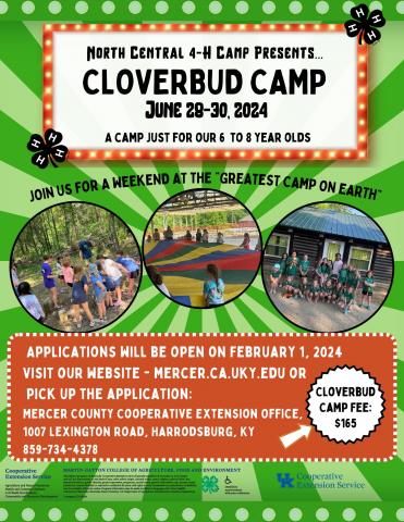 Cloverbud Camp