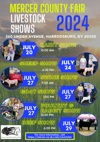 Livestock shows County Fair 2024